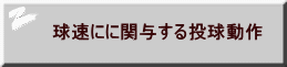 ɂɊ֗^铊