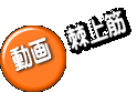 動画 棘上筋