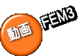 動画 FEM3