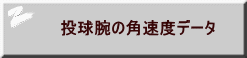 r̊pxf[^