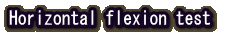 Horizontal flexion test@