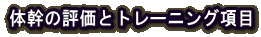 体幹の評価とトレーニング項目