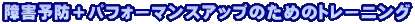 Q\h{ptH[}XAbv̂߂̃g[jO